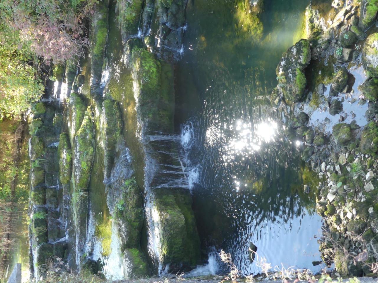 Hotel Aux Truites Bleues Fort-du-Plasne Esterno foto