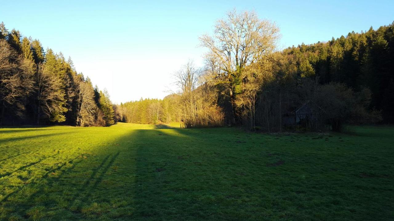 Hotel Aux Truites Bleues Fort-du-Plasne Esterno foto