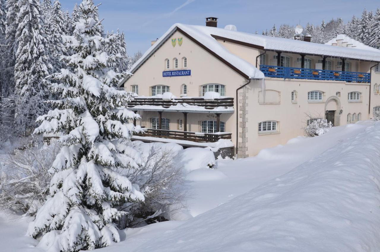 Hotel Aux Truites Bleues Fort-du-Plasne Esterno foto